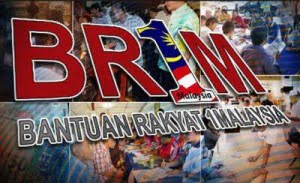 br1m logo