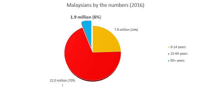 pie-chart-malaysians-by-numbers-161116